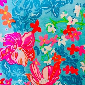 NWOT Women’s Lilly Putlitzer Sleeveless Dress X Small